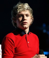 Niall Horan. (Getty Images).