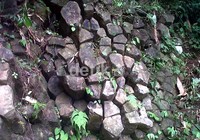 Karakteristik batuan retas andesit di wilayah tersebut merupakan tubuh bebatuan yang segar (fresh) dengan kenampakan warna abu-abu terang dan sebagian abu-abu gelap sebagian berwarna abu-abu gelap. Arbi Anugrah/detikNews.