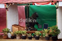 Seorang satpam berusaha menjinakkan bom dalam pelatihan di Lapangan Sabasa Polri, Cipinang, Jakarta.
