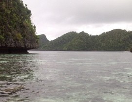 Susahnya Memburu Pemburu Hiu Ilegal di Raja Ampat