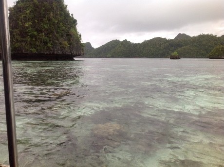 Susahnya Memburu Pemburu Hiu Ilegal di Raja Ampat