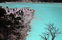 Kawah Putih ini terletak sekitar 46 km dari Kota Bandung atau 35 km dari ibukota Kabupaten Bandung, Soreang, menuju Ciwidey.