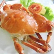Surga Makanan Pulau Dewata di Bali Seafood