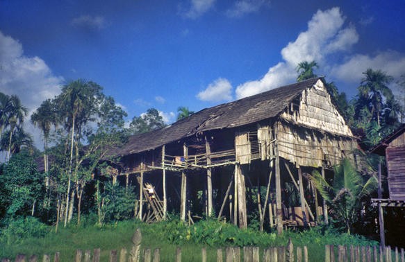 85 Gambar Desain Rumah Betang Gratis Terbaru