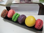 Krenyes Lembut Si Genit Macaroon