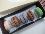 Krenyes Lembut Si Genit Macaroon