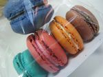 Krenyes Lembut Si Genit Macaroon