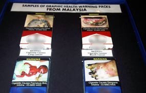 Wamenkes: Indonesia Terlalu Bebas untuk Rokok