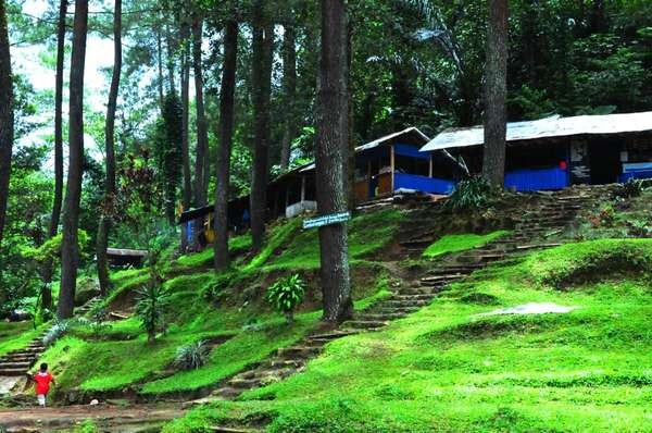 Lembang Atau Ciwidey Ini Dia Ulasan Lengkapnya