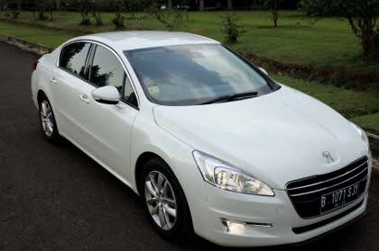 Merasakan Auman Singa 508