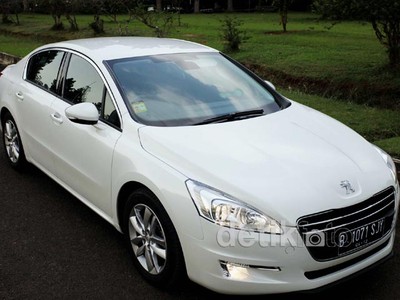 Merasakan Auman Singa 508