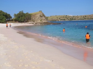Pink Beach, Pantai Pasir Merah Muda Favorit Turis Dunia