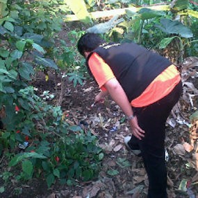 Granat Nanas Gegerkan Warga Campaka