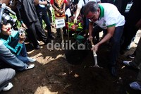 Iwan Fals menanam pohon secara simbolis. Ia menanamkan sebuah pohon manggis.