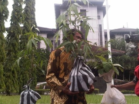 Dukung Rosidi Pengambil Jati, Petani Beri 3 Jati ke Perhutani Jateng