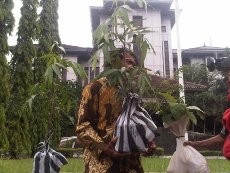Dukung Rosidi Pengambil Jati, Petani Beri 3 Jati ke Perhutani Jateng
