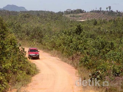 Hutan Rusak, Menu Wajib Susuri Perbatasan