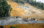 Hutan Rusak, Menu Wajib Susuri Perbatasan