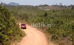 Hutan Rusak, Menu Wajib Susuri Perbatasan