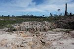 Hutan Rusak, Menu Wajib Susuri Perbatasan