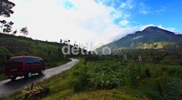 Kawasan ini menjadi lahan pertanian yang subur.