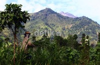 Kawasan ini telah dikembangkan menjadi sebuah desa wisata.