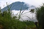 Keindahan Merapi & Merbabu Bukan Khayalan