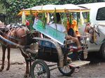 Bogor Organik Fair Kembali Hadir dengan Meriah