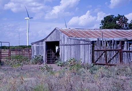 Cabuli Bocah 4 Tahun, Pria AS Dibunuh