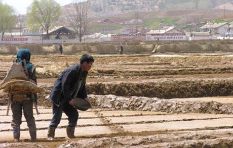 Memprihatinkan! 16 Juta Warga Korut Kekurangan Pangan