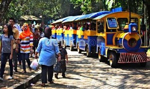 Masuk Ragunan & Naik Bus TransJ Gratis pada 24 Juni