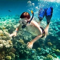 Taman Laut Pulau Payar, Surga Menyelam di Malaysia