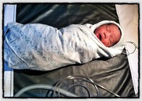 Elzo Jaydo Anvaya lahir 13 Juni 2012 dengan tinggi badan 47 cm dan berat 2.7 kg. Prih Prawesti Febriani/detikHot.