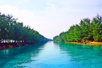 Pulau Air Pulau Air