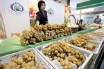Asyik, Serba-serbi Thailand Ada di Jakarta