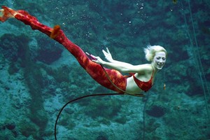 Sitsuiw! Ada Putri Duyung di Weeki Wachee Springs
