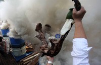 Sebanyak 12,7 ton trenggiling ilegal tersebut merupakan barang bukti kasus peredaran ilegal dari 3 kasus peredaran tahun 2011 dan tahun 2012.