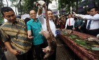 Pemusnahan tersebut disaksikan langsung oleh menteri kehutanan Zulkifli Hasan.