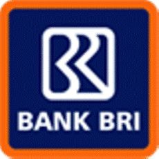 Kredit Mikro Bri Tembus Rp 11 6 Triliun
