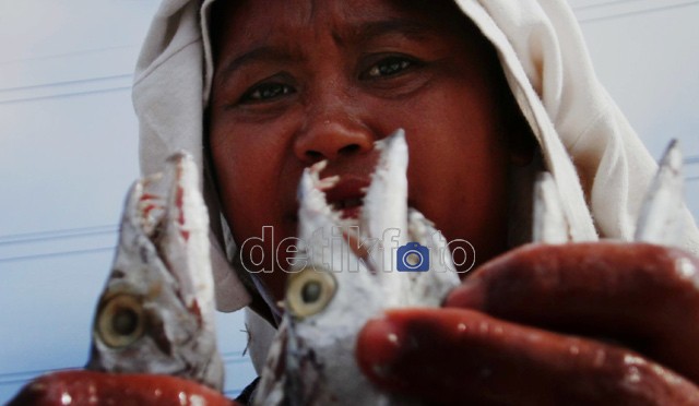 Hukuman Ringan Bagi Perampok Ikan di Laut Indonesia