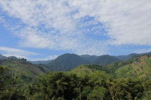 Surganya Pecinta Alam Ada di Taman Nasional Gunung Leuser