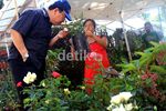Pameran Flona, Pesta Pecinta Tanaman & Hewan