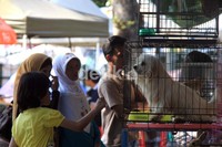 Beberapa pengunjung melihat-lihat hewan yang dipamerkan. Agung Pambudhy/detikcom.
