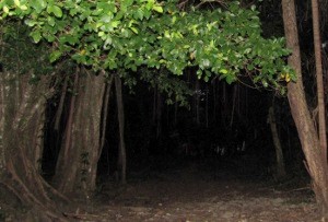 Badakku Sayang, Wargaku Malang