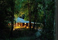 Tenda ini menjadi penginapan para traveler di tengah hutan Moyo (baliseaside.com) Tenda ini menjadi penginapan para traveler di tengah hutan Moyo (baliseaside.com)