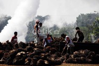 Dalam sehari pabrik tersebut mampu menghasilkan sekitar 160 ton minyak mentah kelapa sawit.
