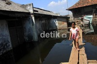 Kampung ini ini dihuni oleh lebih dari 15 KK. Agung Pambudhy/detikcom.