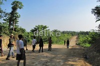 Nantinya, para peserta Run Rhino Run 10K akan melewati tantangan lari naik turun bukit berulang kali. Selain itu, para peserta juga akan dimanjakan dengan pemandangan hamparan sawah yang menghijau atau hutan kayu sengon. (Fitraya Ramadhanny/detikSport).