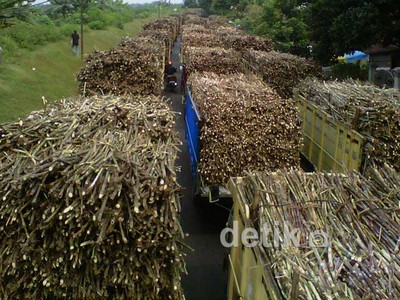 Penggilingan Ditutup, Petani Tebu Berdemo