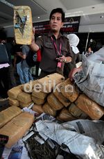 Senpi dan Ganja dari Ratusan Kasus Dimusnahkan